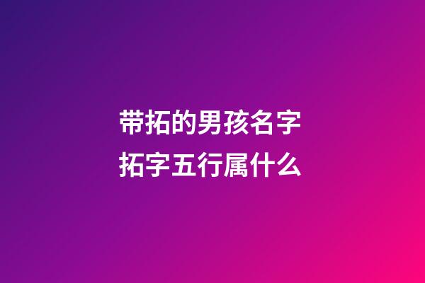 带拓的男孩名字 拓字五行属什么